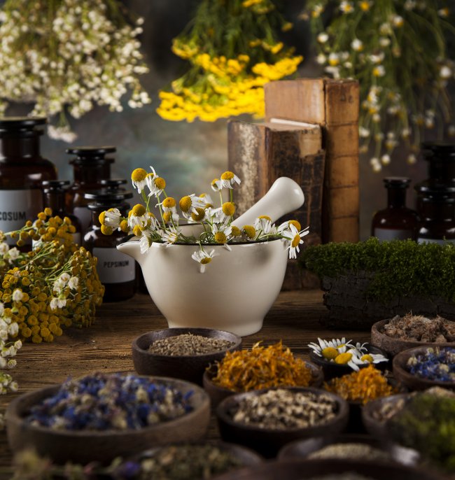 Herbal medicine on wooden desk background