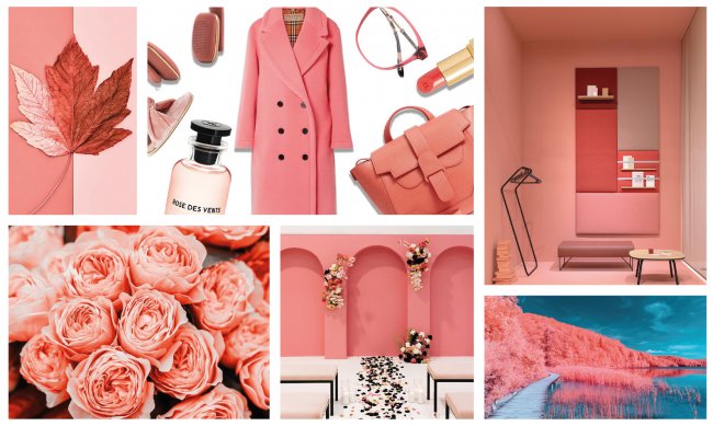 живой кораловый