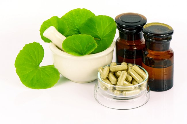 Indian pennywort (Centella asiatica (L.) Urban.) brain tonic her