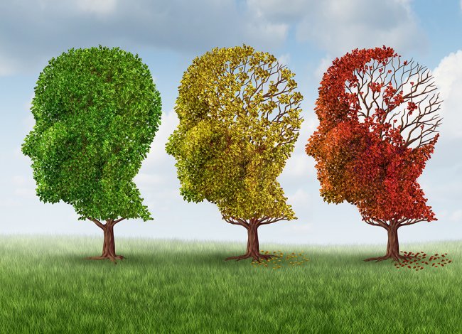 Brain Aging